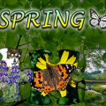 Jigsaw Puzzle Spring