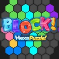 Block Hexa Puzzle Online