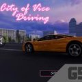 City Of Vice Driving