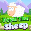 Feed The Sheep