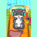 Cat Doctor