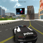 Police Stunt Cars
