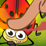Insect Cush