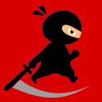 Mr Ninja Fighter
