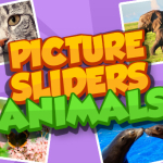 Picture Slider Animals