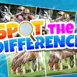 Spot the Difference