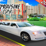 Luxury Wedding Taxi Driver City Limousine Driving