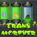 Transmorpher 