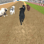 Angry Bull Racing