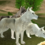 Wild Wolves Hunger Attack