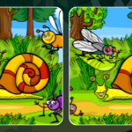 Insects Photo Differences