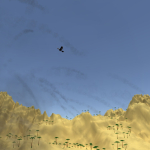 Toucan Shooter
