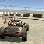 Free Rally