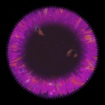 BlackMass.io