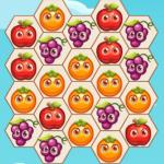 Fruita Swipe