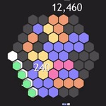 Hex Puzzle