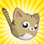 Jump Kitty