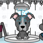 Pet Salon Doggy Days
