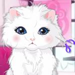 Pets Fashion Show