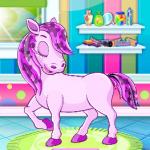 Pony Pet Salon